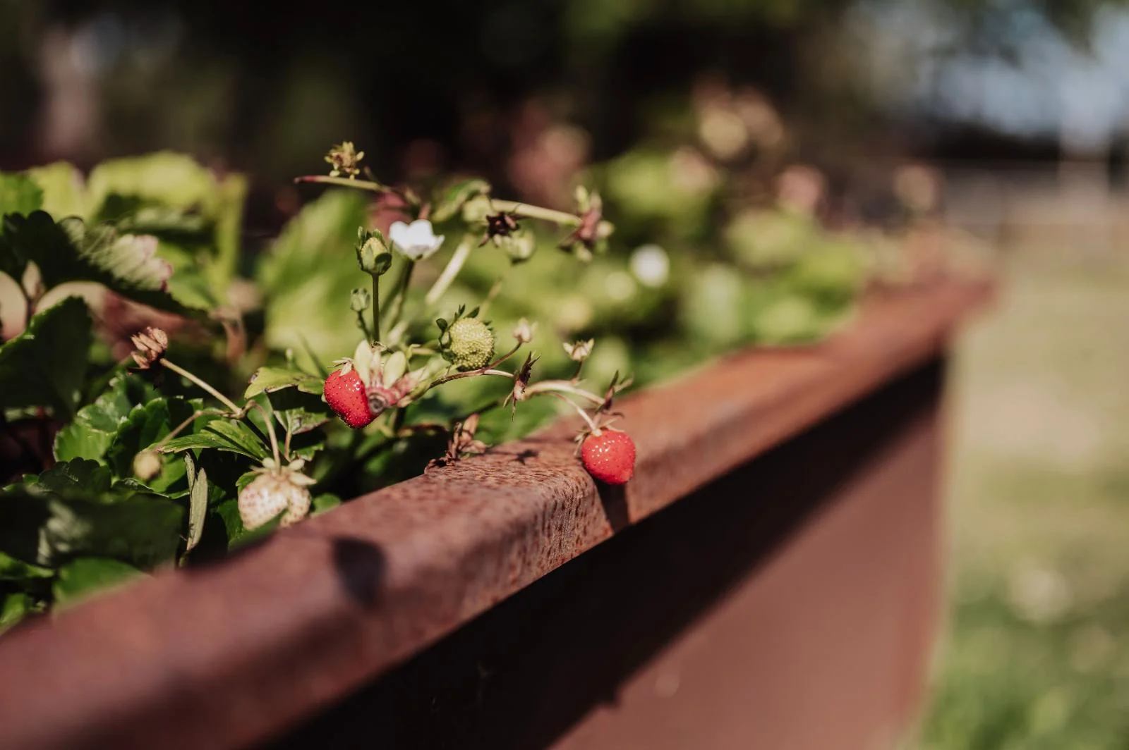 Corten-specialprojekt