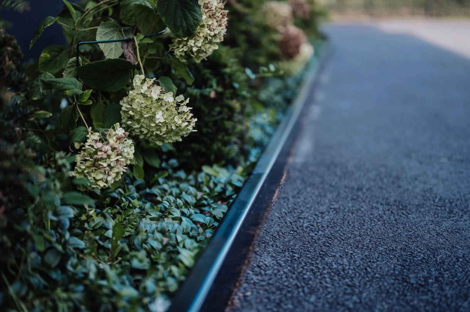 Trädringar i cortenstål