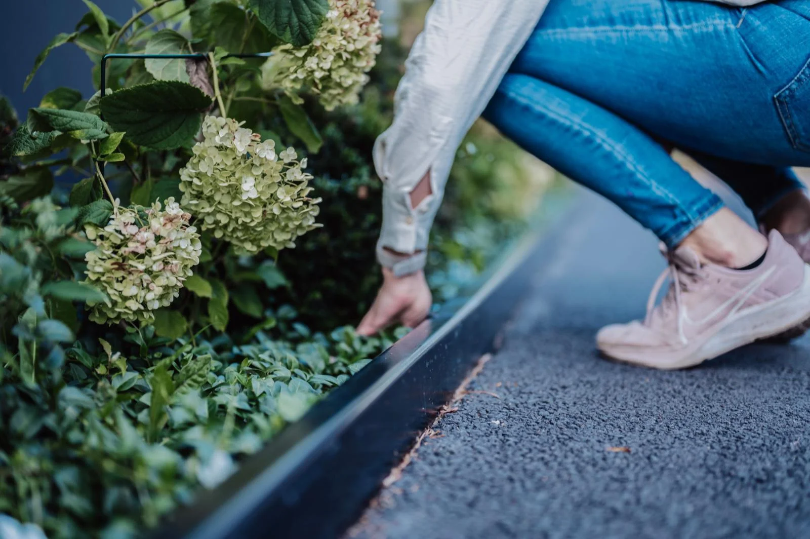 Cortenstål trädring med plantering