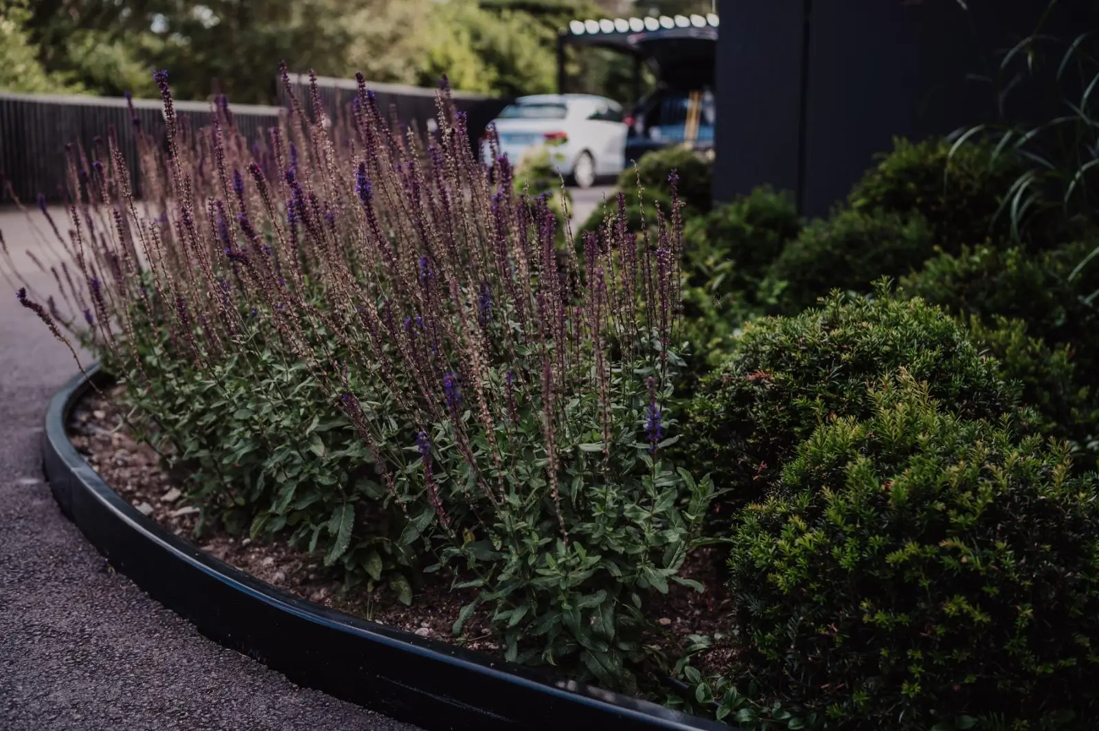 Kantplåt och rabattkanter i cortenstål