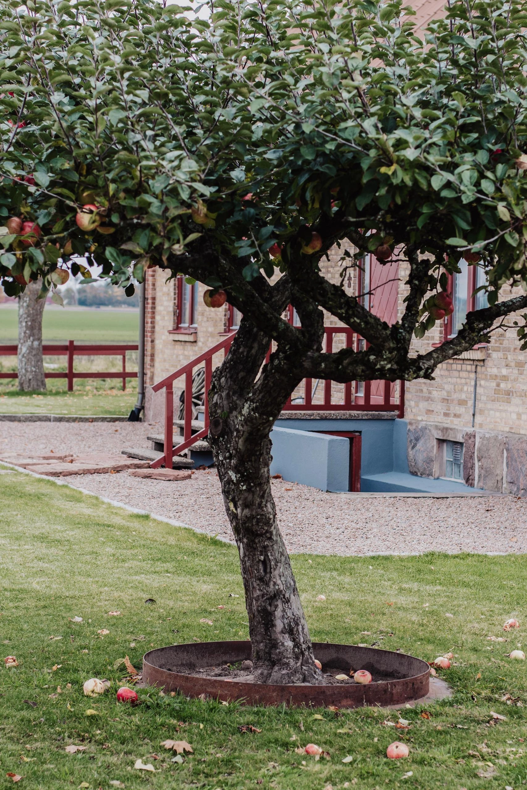 Cortenstål i trädgårdsmiljö