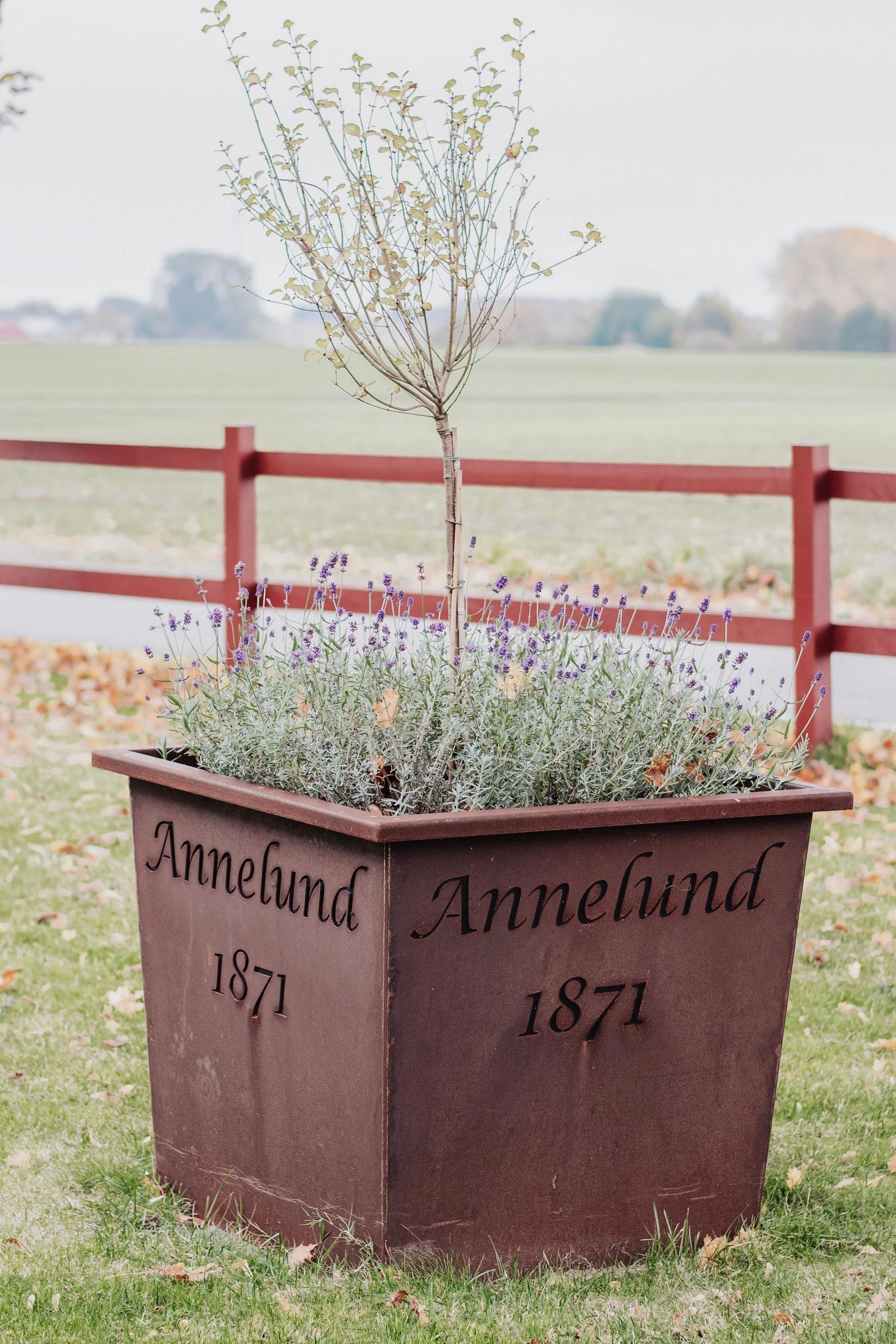 Trädgård med cortenstål - rabattkanter och krukor