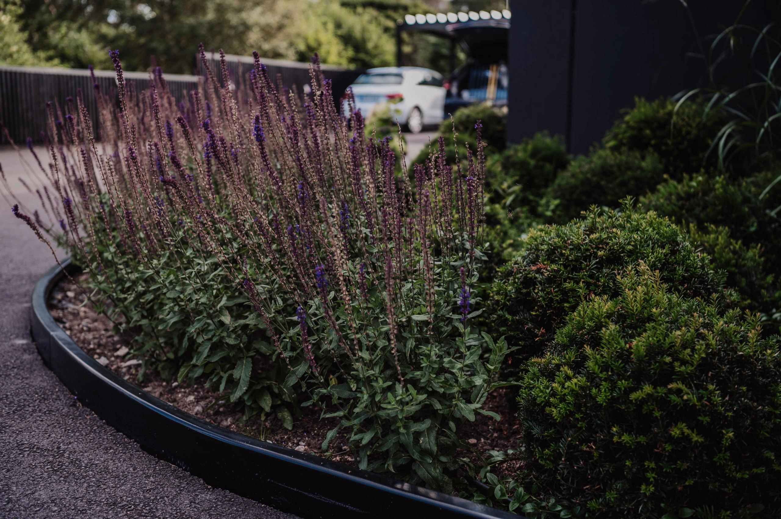 Kantplåt och rabattkanter i cortenstål